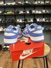 Nike Dunk Low Polar 3