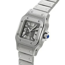 Cartier Santos W20066D6 ( 2423) 35mm Stainless Steel Gray #WW7988 2