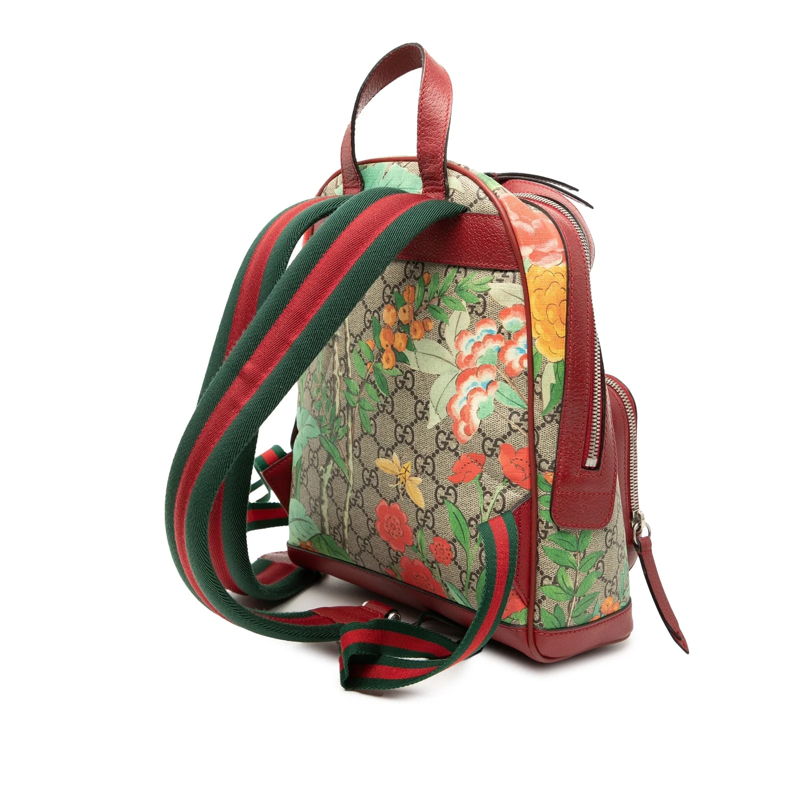 Small Web Tian Backpack 2