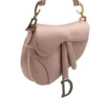 Dior Mini Saddle aa64643 157108877 4