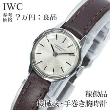 IWC — IWC Old Inter Mechanical Hand-Wind Brown Silver Japan 0717155 — Watch — resale