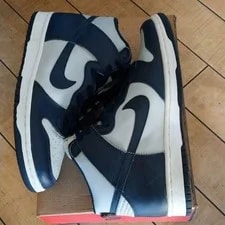 Vtg Nike Dunk High Light Zen 630335-041 Us10 2