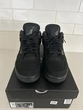 2025 Jordan 4 Cat 3