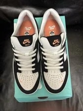 Nike SB Force 58 Skate Shoes 2