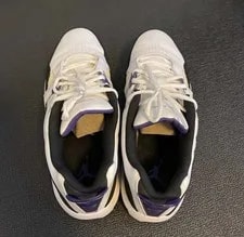Air Jordan Trunner Q4 “ Varsity / ” 2