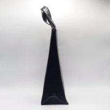 Bottega Veneta Leaf 4