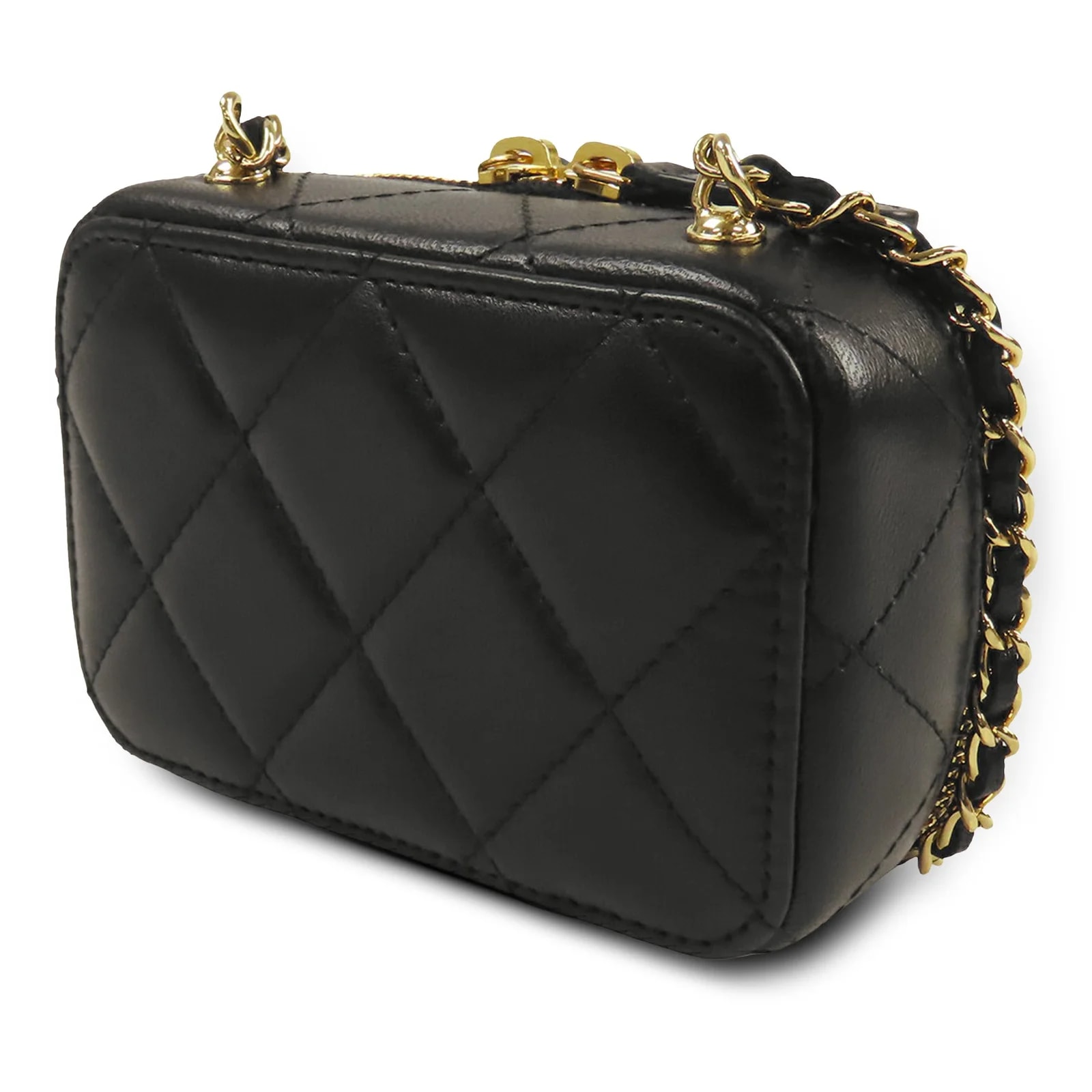 Extra CC Golden Plate Vanity Crossbody 2