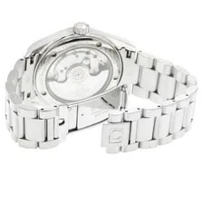 Omega Seamaster Aqua Terra 2504.5 4