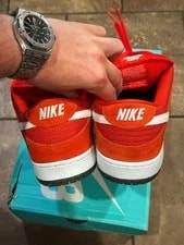 NEW 2012 Nike SB Dunk LOW Challenge 4
