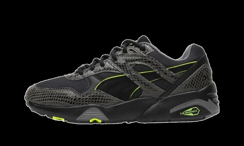 R698 "Castlerock / Puma " 385856 02 4