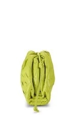 Bottega Veneta "The Pouch" Mini 3