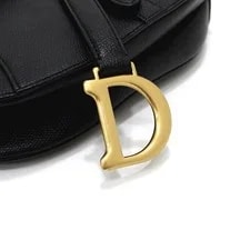 Dior Grain Calf Mini Saddle aa37052 152893425 4