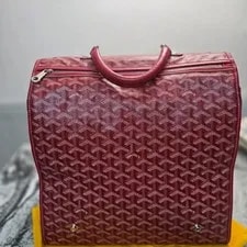 Goyard Sienne Folding in Special Color 3