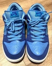 9.0US Nike Sb Dunk Low Pro Dm0807-400 2