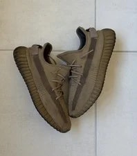 Yeezy — Yeezy 350 Earth — Sneaker — resale