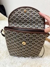 Goyard Herringbone From Japan 4