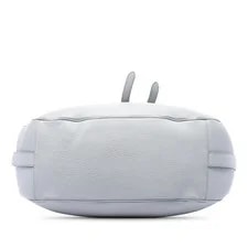 Dior Grained Saddle Soft Light 3