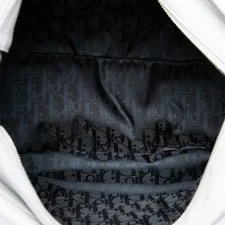 Dior Grained Saddle Soft Light 4