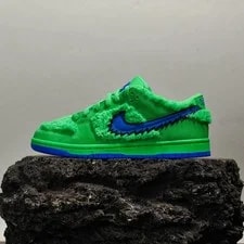 Nike SB Dunk Low Pro Skate Shoes Bear New 🐻 2