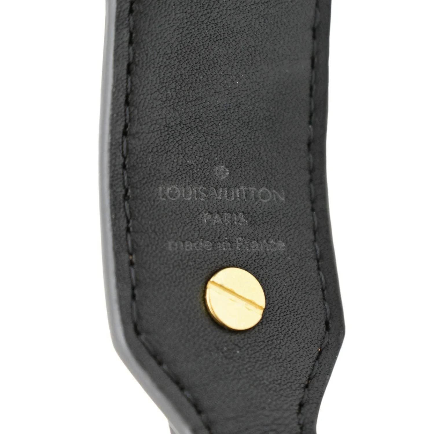 Louis Vuitton Reverse Bandouliere Strap 4