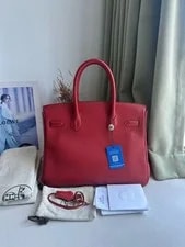 Auth Hermès Birkin 30 Casaque Collector 2