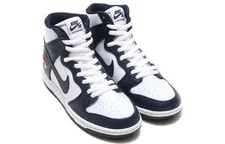 Nike SB Dunk High Future Court 854851-441 3