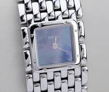Cartier Panthere Blue Shell Dial SM Quartz Woman Working 2