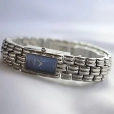 Cartier Panthere Blue Shell Dial SM Quartz Woman Working 3