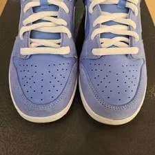 Size 10.5 - Nike SB Dunk Low Philadelphia Phillies 3