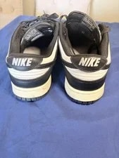 Nike Dunk Low / ’S Low Top DD1391-100 2021 3