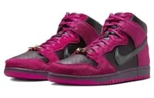 [DX4356-600] -- Nike Sb Dunk High 'Run the Jewels Active ' 3