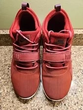 Nike SB — Nike SB Trainerendor Team Tennis Shoes 11 616575-641 — Sneaker — resale