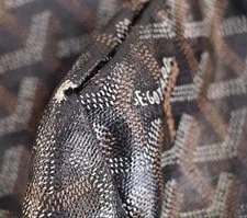 Goyard From Japan 3