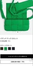 Bottega Veneta Cassette Parakeet 2