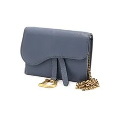 Dior Goat Saddle Nano Wallet Belt and Crossbody 152893063 2