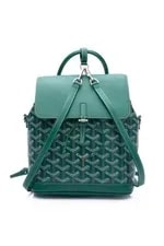 Goyard Alpin Backpack and Crossbody 2