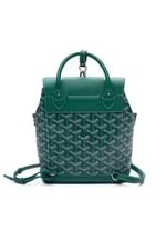 Goyard Alpin Backpack and Crossbody 4