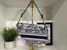 Christian Dior Medium Embroidered Saddle - Preloved 2