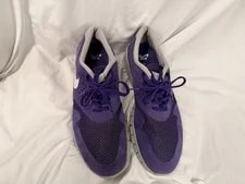 Nike SB Eric Koston 2 Max Court 3