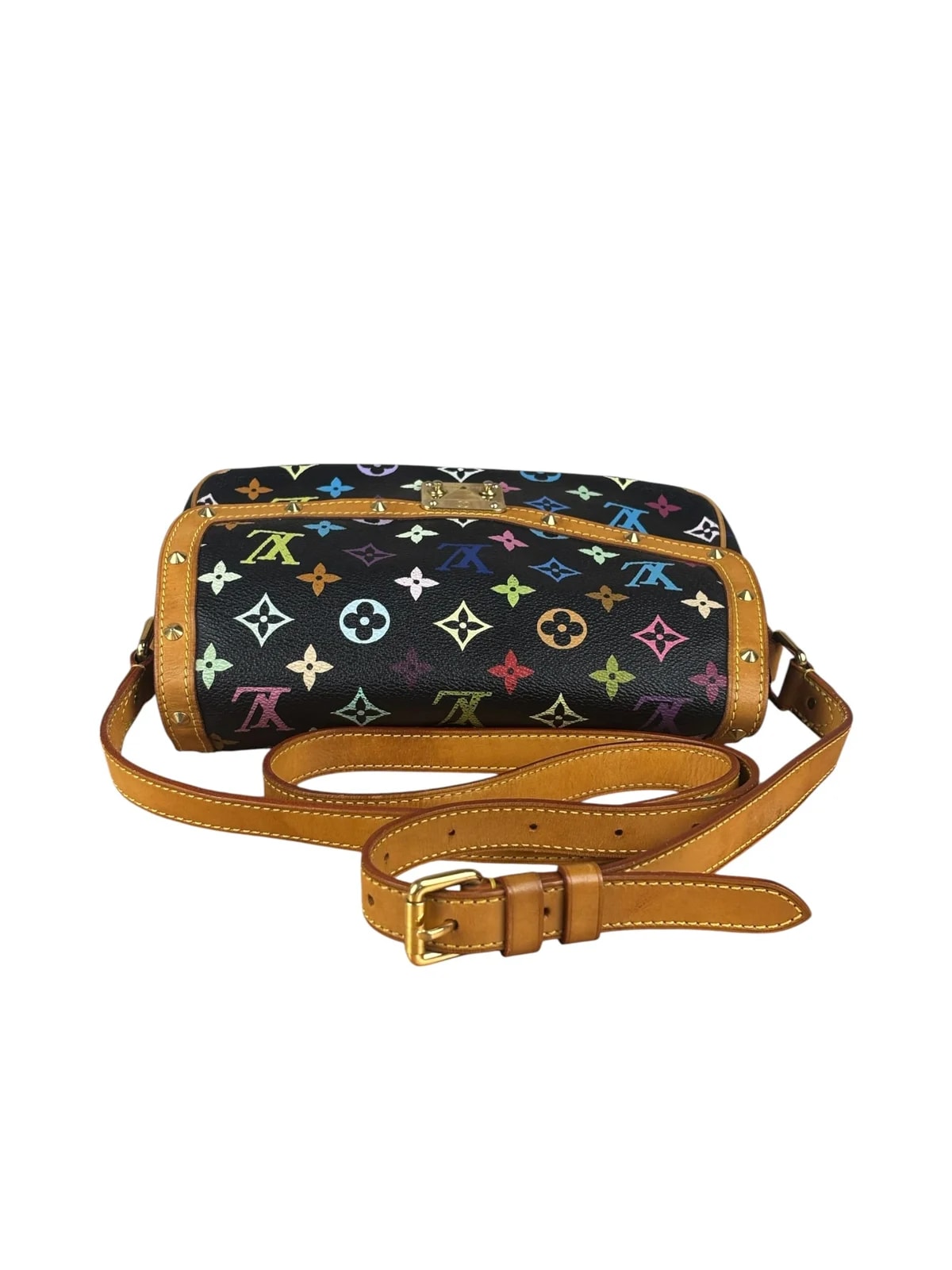 Louis Vuitton Multicolore Sologne 3