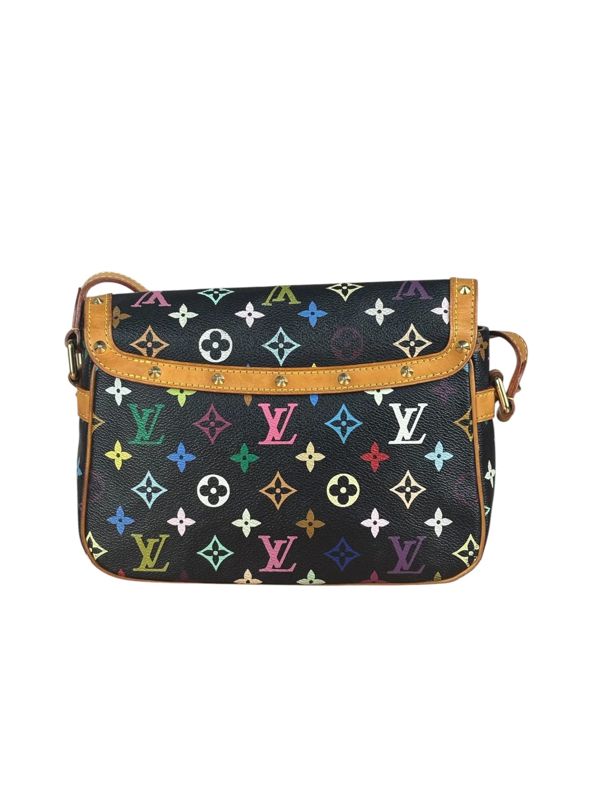 Louis Vuitton Multicolore Sologne 4