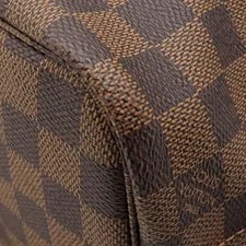 Louis Vuitton Never Full N51109 Go 4