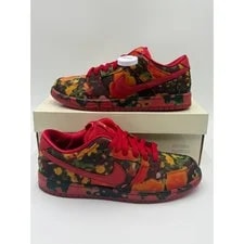 Size 10M - Nike SB Dunk Low "The Wizard of Oz Field" 3