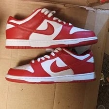 Nike Dunk Low Low Top Saint Johns 2