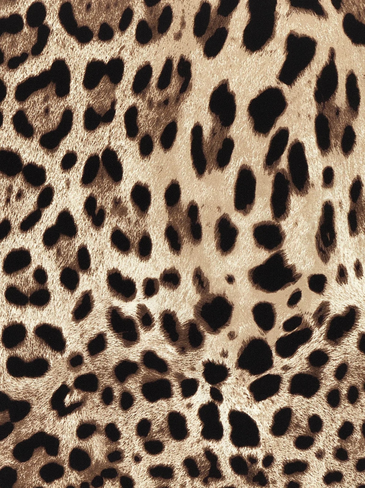 Dolce & Gabbana Leopard-Print Twill Scarf — Scarfs 3