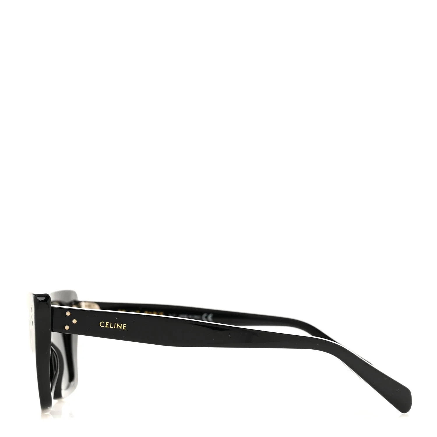 Acetate Cat Eye Sunglasses CL40187I 3