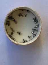 Patek Philippe Caliber 177 Screws 2