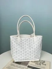 Goyard Monogram Fashion 2