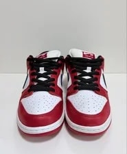 10.0US Nike Sb Dunk Low J-Pack 4