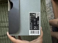 Air Jordan 11 Low 2024 2